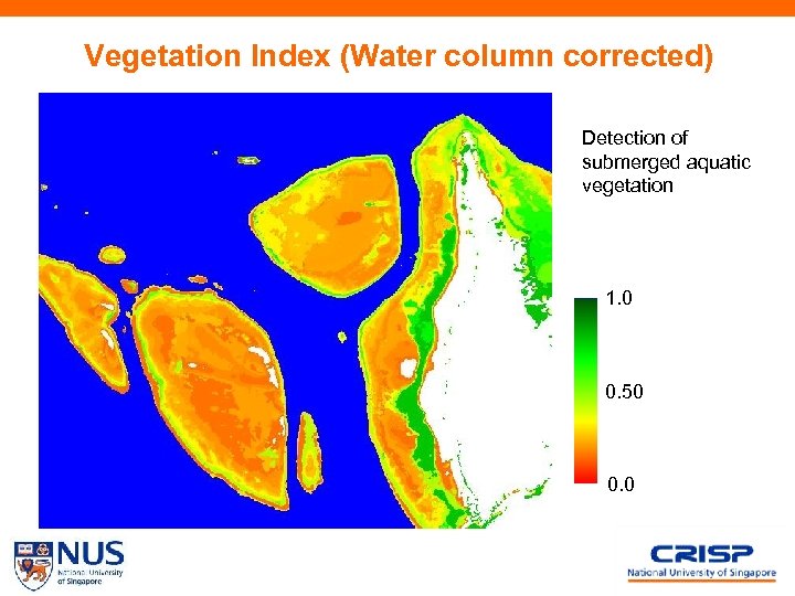 Vegetation Index (Water column corrected) Detection of submerged aquatic vegetation 1. 0 0. 50
