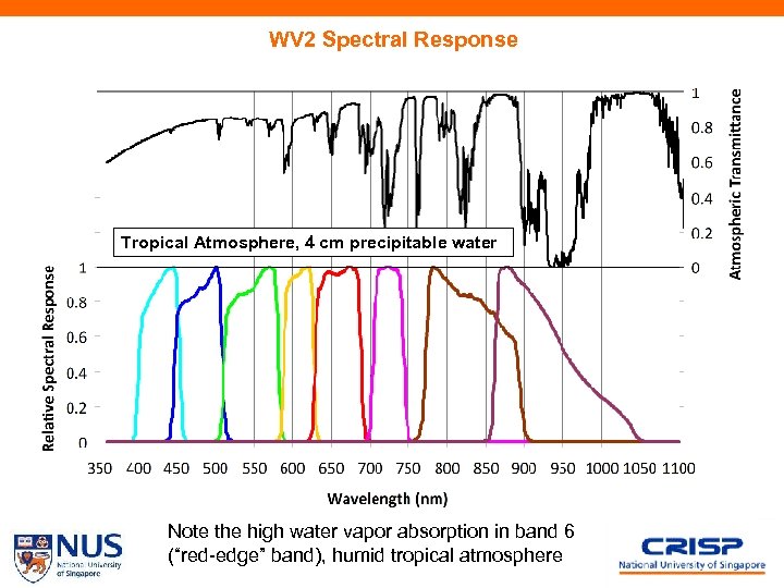 WV 2 Spectral Response Tropical Atmosphere, 4 cm precipitable water Note the high water