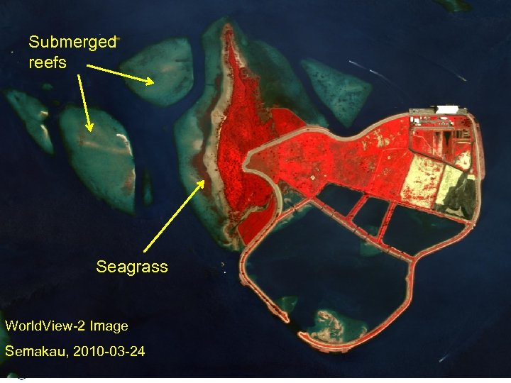 Submerged reefs Seagrass World. View-2 Image Semakau, 2010 -03 -24 