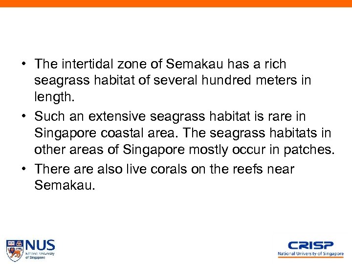  • The intertidal zone of Semakau has a rich seagrass habitat of several
