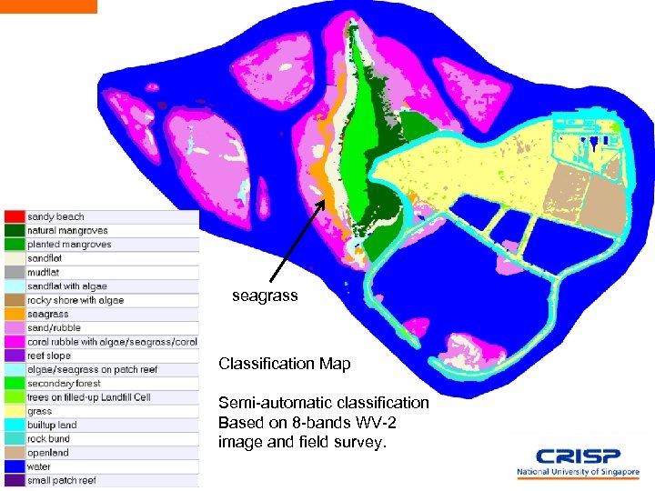 seagrass Classification Map Semi-automatic classification Based on 8 -bands WV-2 image and field survey.