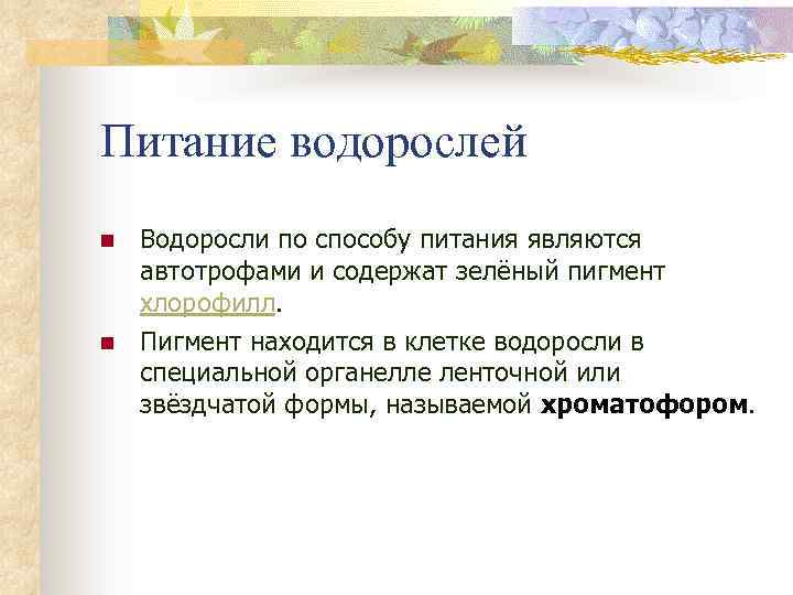 Питание водорослей n n Водоросли по способу питания являются автотрофами и содержат зелёный пигмент