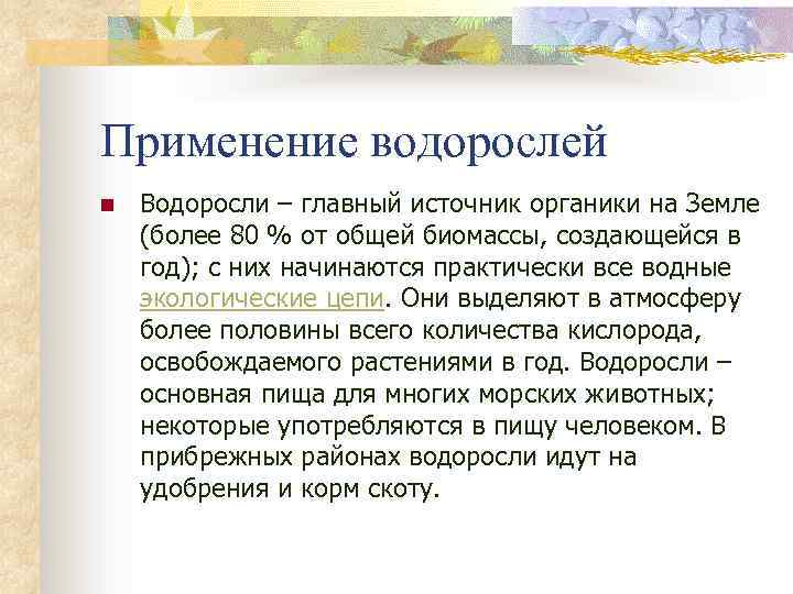 Применение водорослей n Водоросли – главный источник органики на Земле (более 80 % от