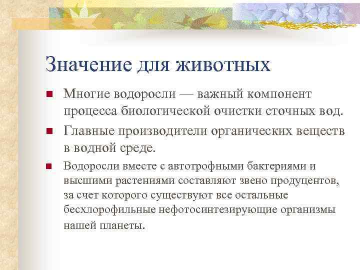 Значение для животных n n n Многие водоросли — важный компонент процесса биологической очистки