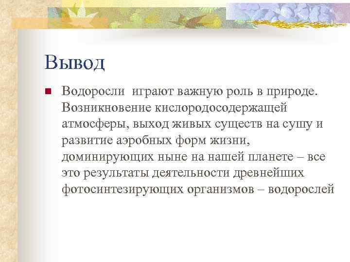 Вывод водорослей. Вывод водоросли. Вывод по теме водоросли. Заключение водоросли. Вывод водоросли в жизни человека.