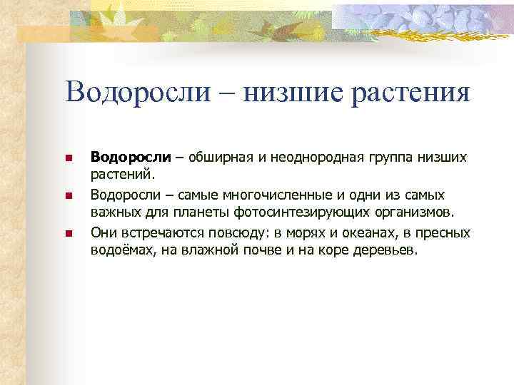 Водоросли – низшие растения n n n Водоросли – обширная и неоднородная группа низших
