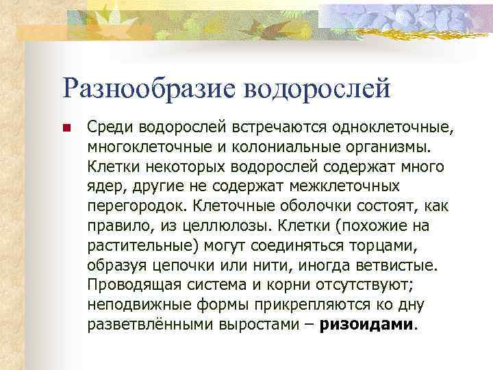 Разнообразие водорослей n Среди водорослей встречаются одноклеточные, многоклеточные и колониальные организмы. Клетки некоторых водорослей