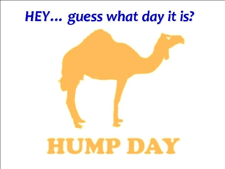 HEY… guess what day it is? 