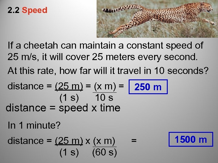 2. 2 Speed If a cheetah can maintain a constant speed of 25 m/s,