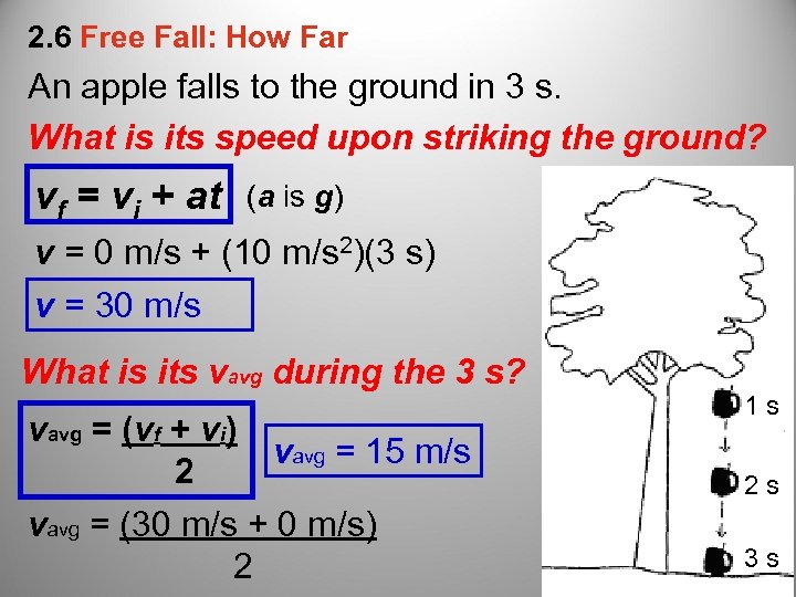 2. 6 Free Fall: How Far An apple falls to the ground in 3