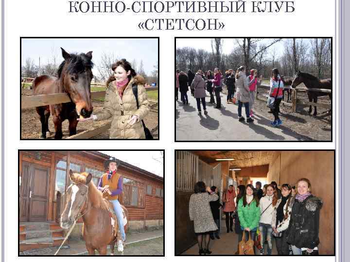 КОННО-СПОРТИВНЫЙ КЛУБ «СТЕТСОН» 