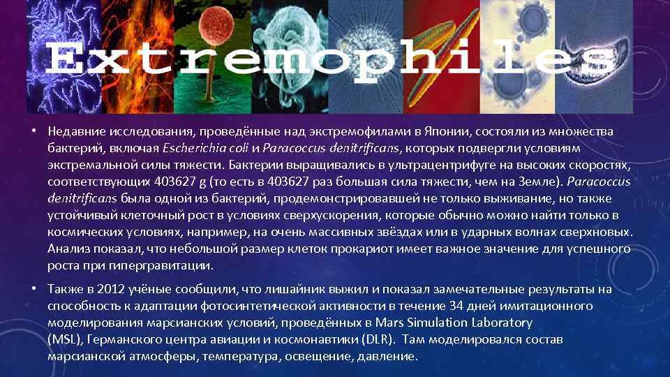  • Недавние исследования, проведённые над экстремофилами в Японии, состояли из множества бактерий, включая