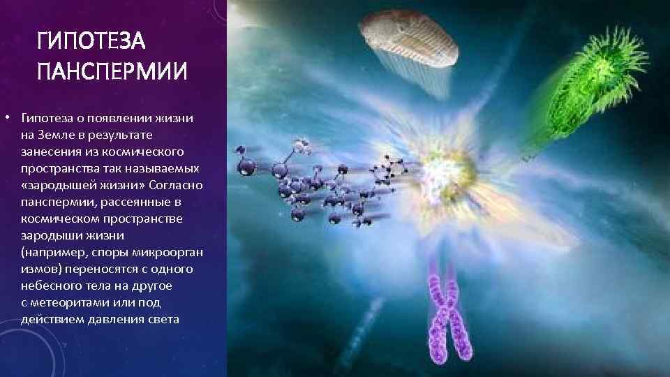 ГИПОТЕЗА ПАНСПЕРМИИ • Гипотеза о появлении жизни на Земле в результате занесения из космического