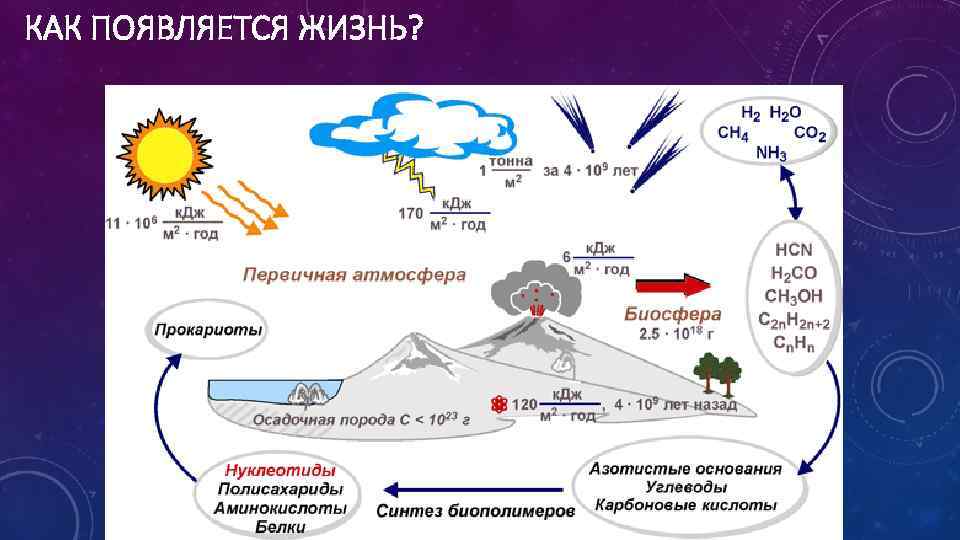 КАК ПОЯВЛЯЕТСЯ ЖИЗНЬ? 