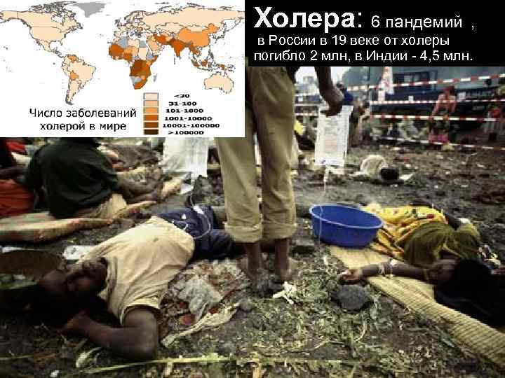 Холера: 6 пандемий , в России в 19 веке от холеры погибло 2 млн,
