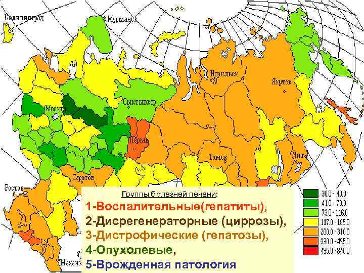 Группы болезней печени: 1 -Воспалительные(гепатиты), 2 -Дисрегенераторные (циррозы), 3 -Дистрофические (гепатозы), 4 -Опухолевые, 5