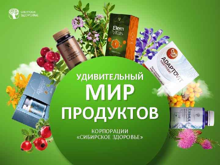 УДИВИТЕЛЬНЫЙ МИР ПРОДУКТОВ КОРПОРАЦИИ «СИБИРСКОЕ ЗДОРОВЬЕ» 