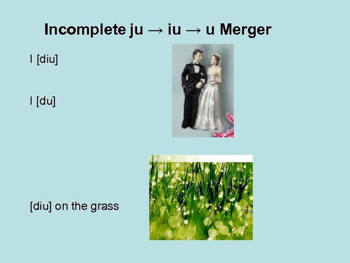 Incomplete ju → iu → u Merger I [diu] I [du] [diu] on the