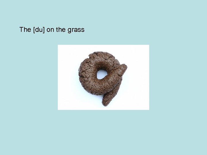 The [du] on the grass 