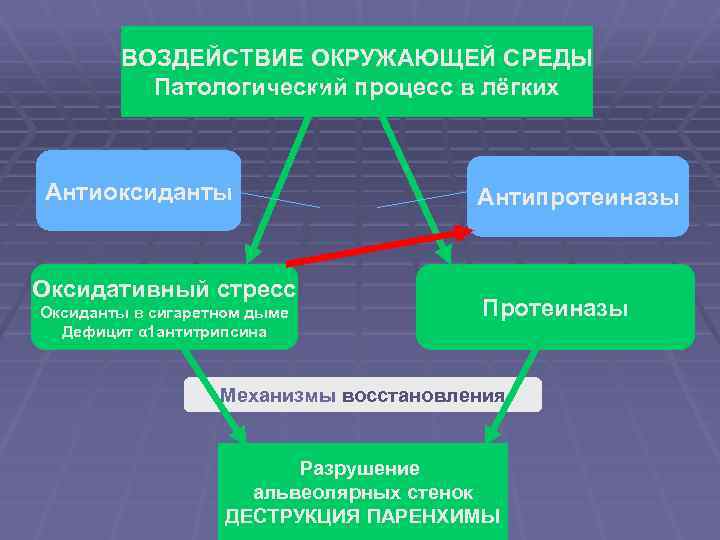 ВОЗДЕЙСТВИЕ ОКРУЖАЮЩЕЙ СРЕДЫ Патологический процесс в лёгких Антиоксиданты Оксидативный стресс Оксиданты в сигаретном дыме