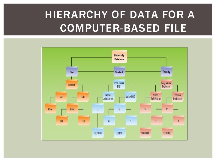 HIERARCHY OF DATA FOR A COMPUTER-BASED FILE 
