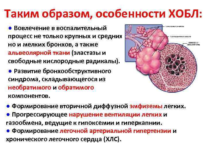 Хобл презентация казакша