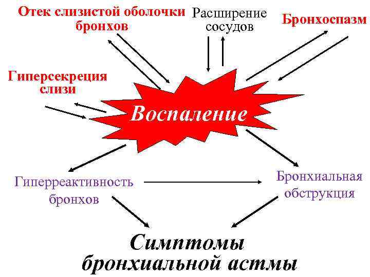 Бронхиальная астма патофизиология презентация