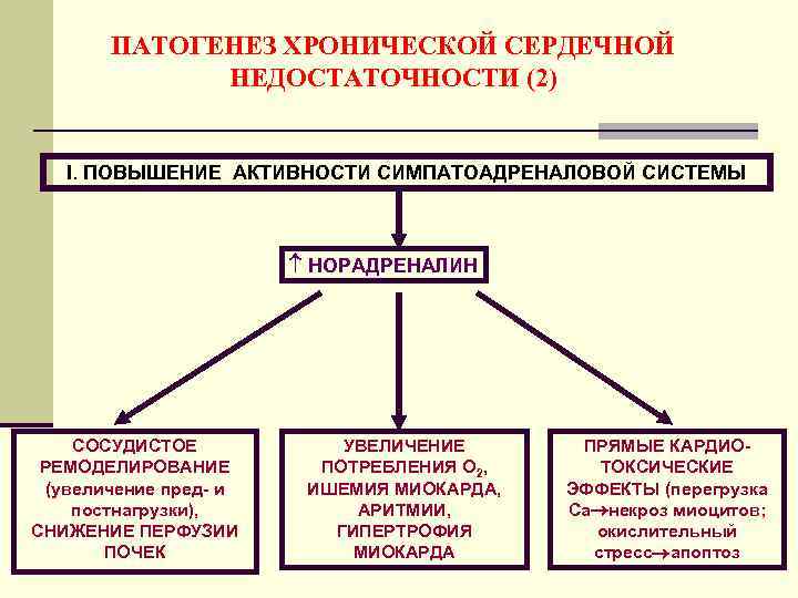 ПАТОГЕНЕЗ ХРОНИЧЕСКОЙ СЕРДЕЧНОЙ НЕДОСТАТОЧНОСТИ (2) I. ПОВЫШЕНИЕ АКТИВНОСТИ СИМПАТОАДРЕНАЛОВОЙ СИСТЕМЫ НОРАДРЕНАЛИН СОСУДИСТОЕ РЕМОДЕЛИРОВАНИЕ (увеличение