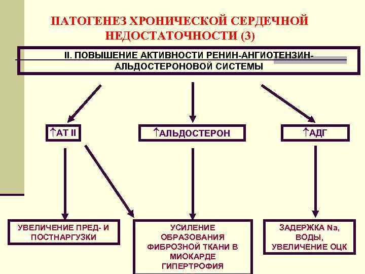 ПАТОГЕНЕЗ ХРОНИЧЕСКОЙ СЕРДЕЧНОЙ НЕДОСТАТОЧНОСТИ (3) II. ПОВЫШЕНИЕ АКТИВНОСТИ РЕНИН-АНГИОТЕНЗИНАЛЬДОСТЕРОНОВОЙ СИСТЕМЫ АТ II АЛЬДОСТЕРОН УВЕЛИЧЕНИЕ