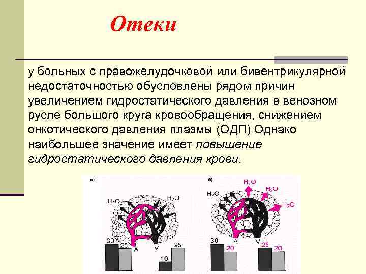 Отеки у больных с правожелудочковой или бивентрикулярной недостаточностью обусловлены рядом причин увеличением гидростатического давления