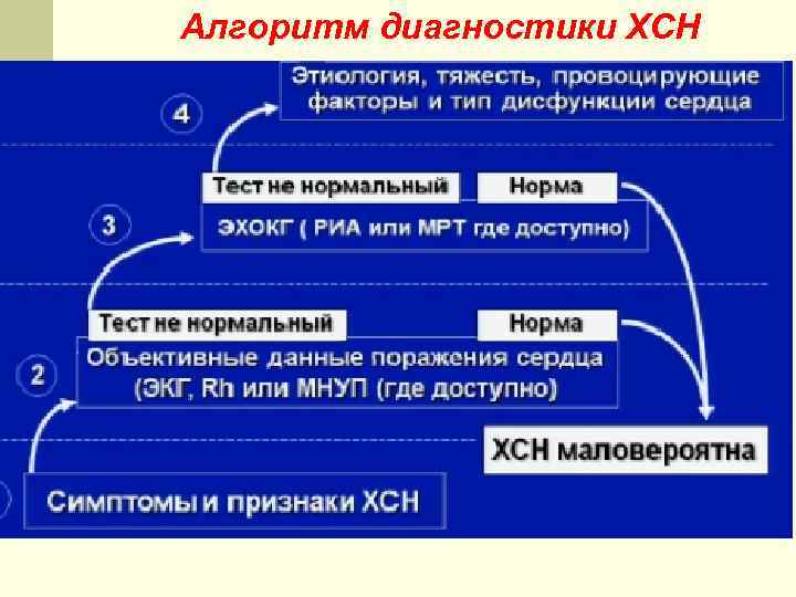 Алгоритм диагностики ХСН 
