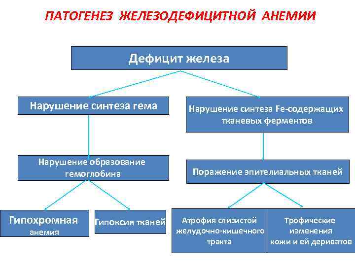 ПАТОГЕНЕЗ ЖЕЛЕЗОДЕФИЦИТНОЙ АНЕМИИ Дефицит железа Нарушение синтеза гема Нарушение образование гемоглобина Гипохромная анемия Гипоксия