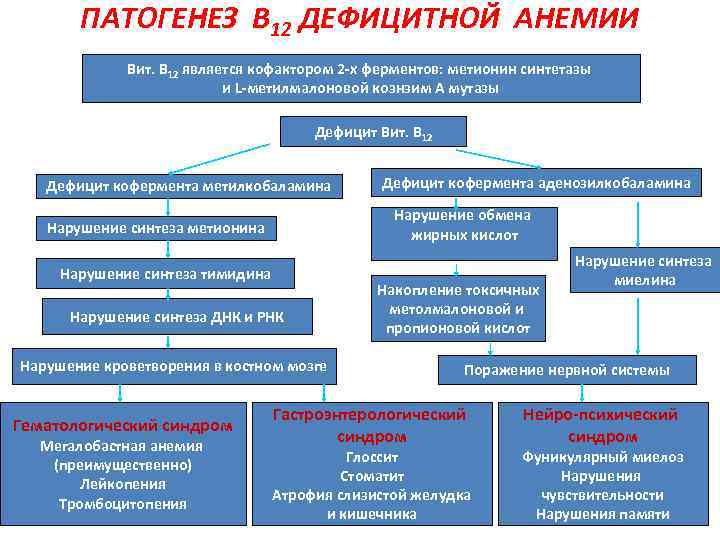 Лечение в12 дефицитной анемии у взрослых схема