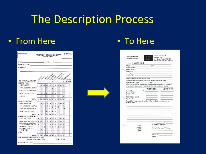 The Description Process • From Here • To Here 