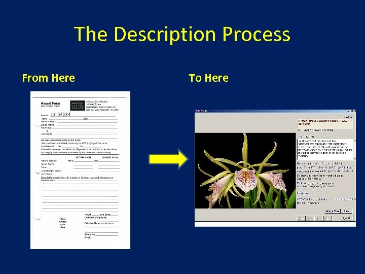 The Description Process From Here To Here 