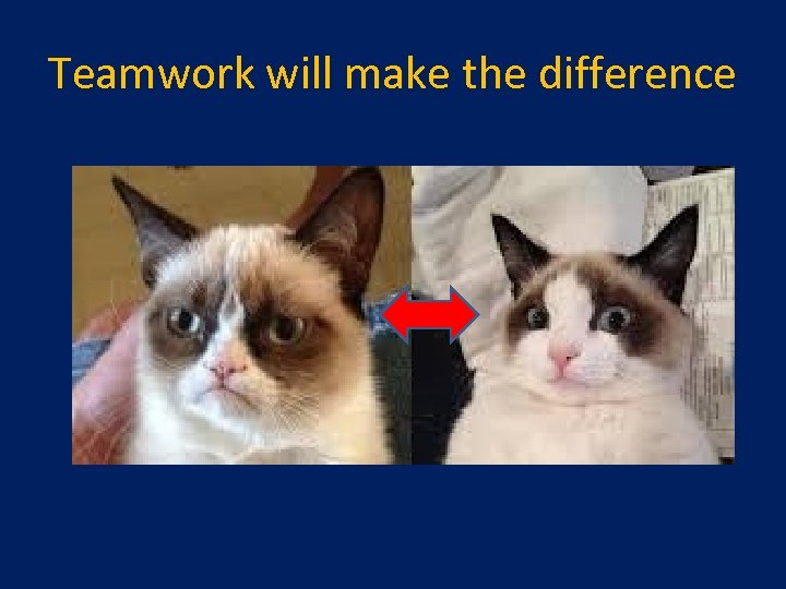 Teamwork will make the difference 