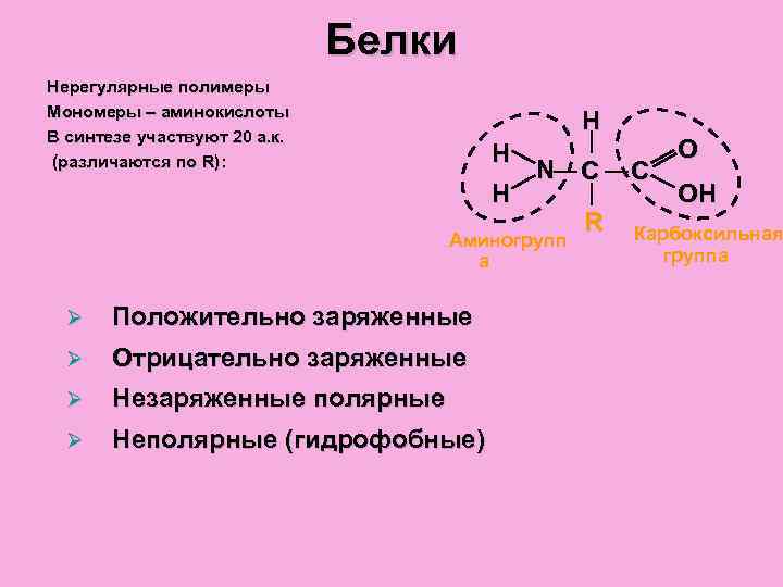 Мономер белка а аминокислота б. Белки нерегулярные полимеры. Аминокислоты мономеры белков. Мономеры и полимеры белков. Биосинтез белка полимеры мономеры.