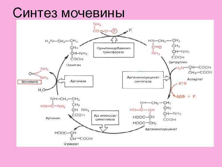 Синтез в проекте