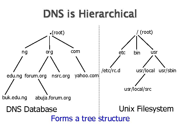 DNS is Hierarchical. (root) ng org edu. ng forum. org / (root) com nsrc.