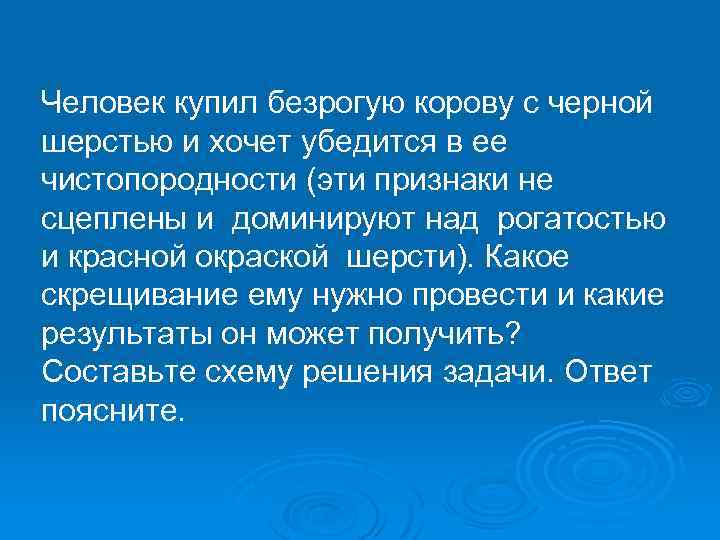 Человек купил безрогую корову с черной шерстью и хочет убедится в ее чистопородности (эти
