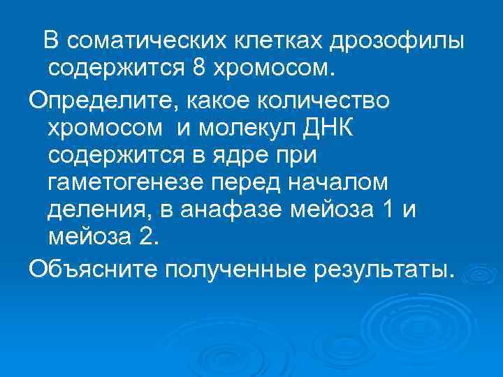 В соматических клетках дрозофилы содержится 8 хромосом. Определите, какое количество хромосом и молекул ДНК