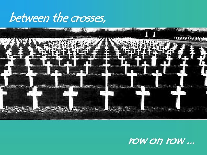 between the crosses, row on row. . . 
