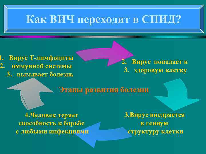 Как ВИЧ переходит в СПИД? 1. Вирус Т-лимфоциты 2. иммунной системы 3. вызывает болезнь