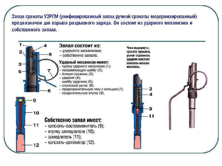 Запал это. Запал ручной гранаты УЗРГМ. Запал УЗРГМ-2 характеристики. Запал гранаты УЗРГМ, УЗРГМ-2. УЗРГМ-2 расшифровка характеристики.