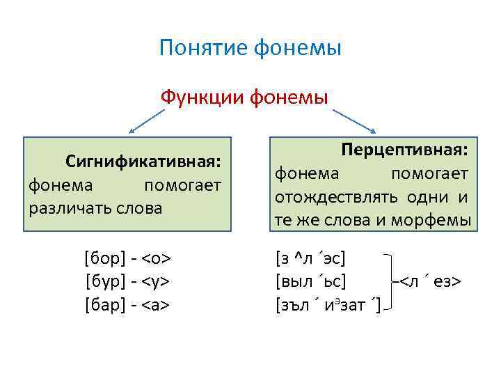 Понятие фонемы Функции фонемы Сигнификативная: фонема помогает различать слова Перцептивная: фонема помогает отождествлять одни