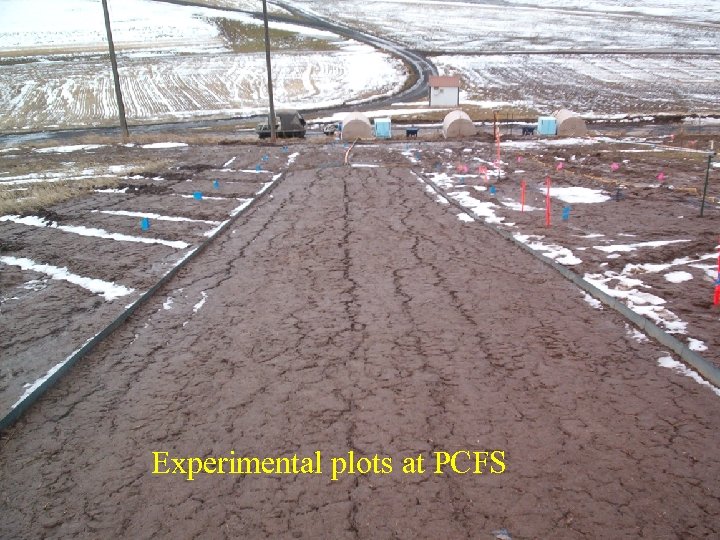 Experimental plots at PCFS 