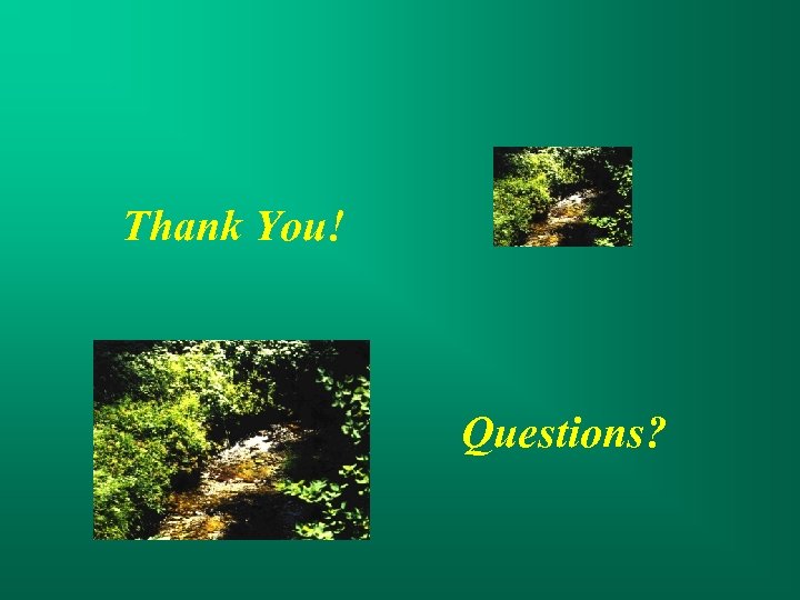 Thank You! Questions? 