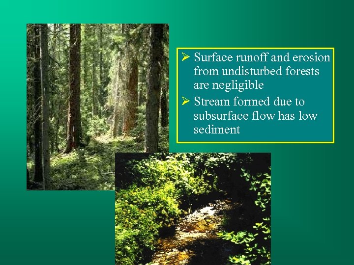  Surface runoff and erosion from undisturbed forests are negligible Stream formed due to