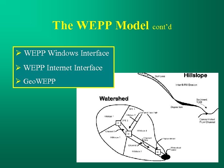 The WEPP Model cont’d WEPP Windows Interface WEPP Internet Interface Geo. WEPP 