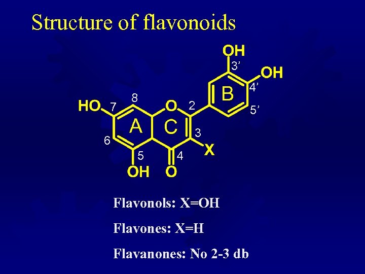 Structure of flavonoids 3’ 7 4’ 8 2 3 6 5 4 Flavonols: X=OH